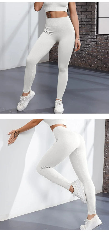 Seamless  Leggings